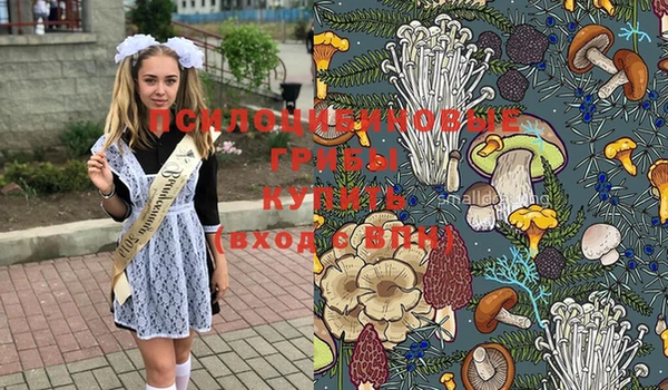 кристаллы Покачи
